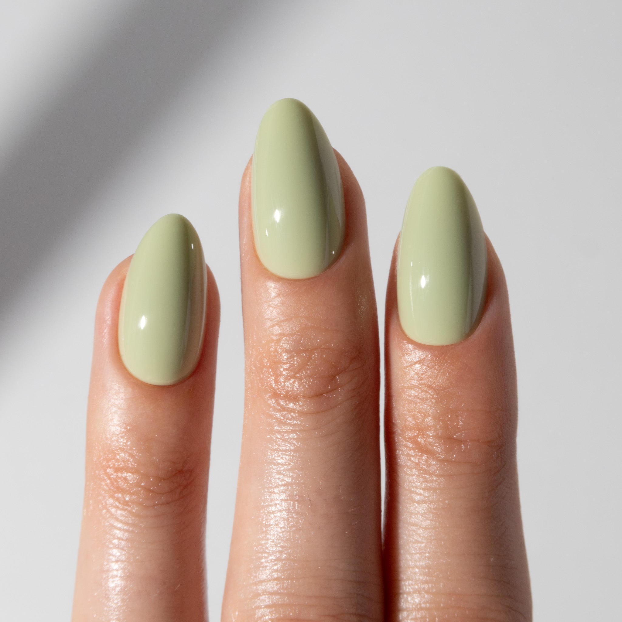 Fresh Matcha