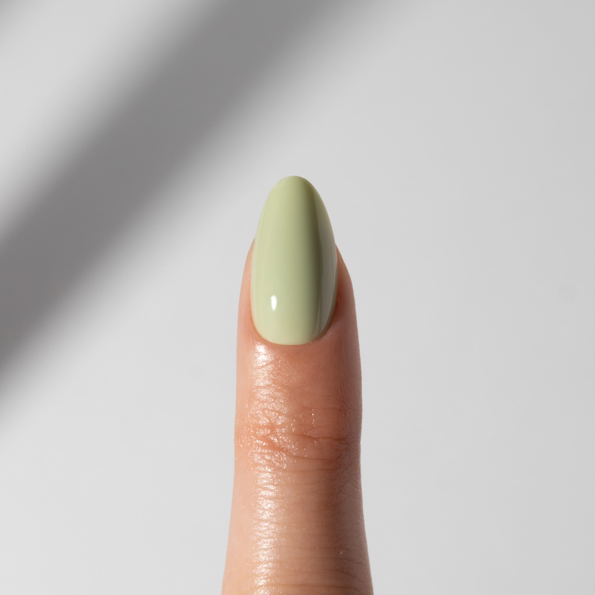 Fresh Matcha