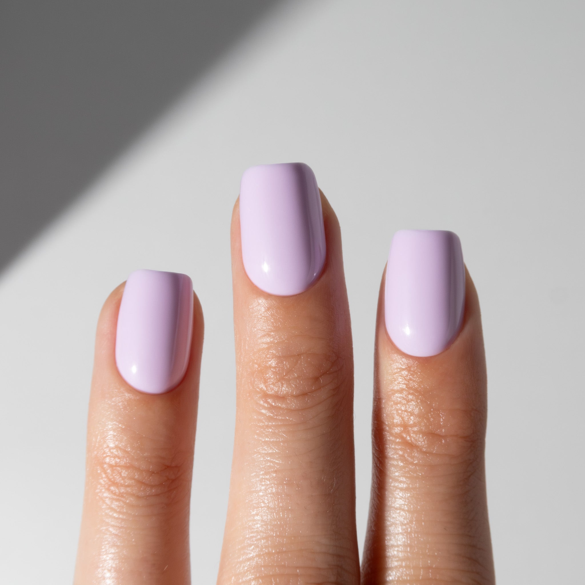 Daydream Lilac