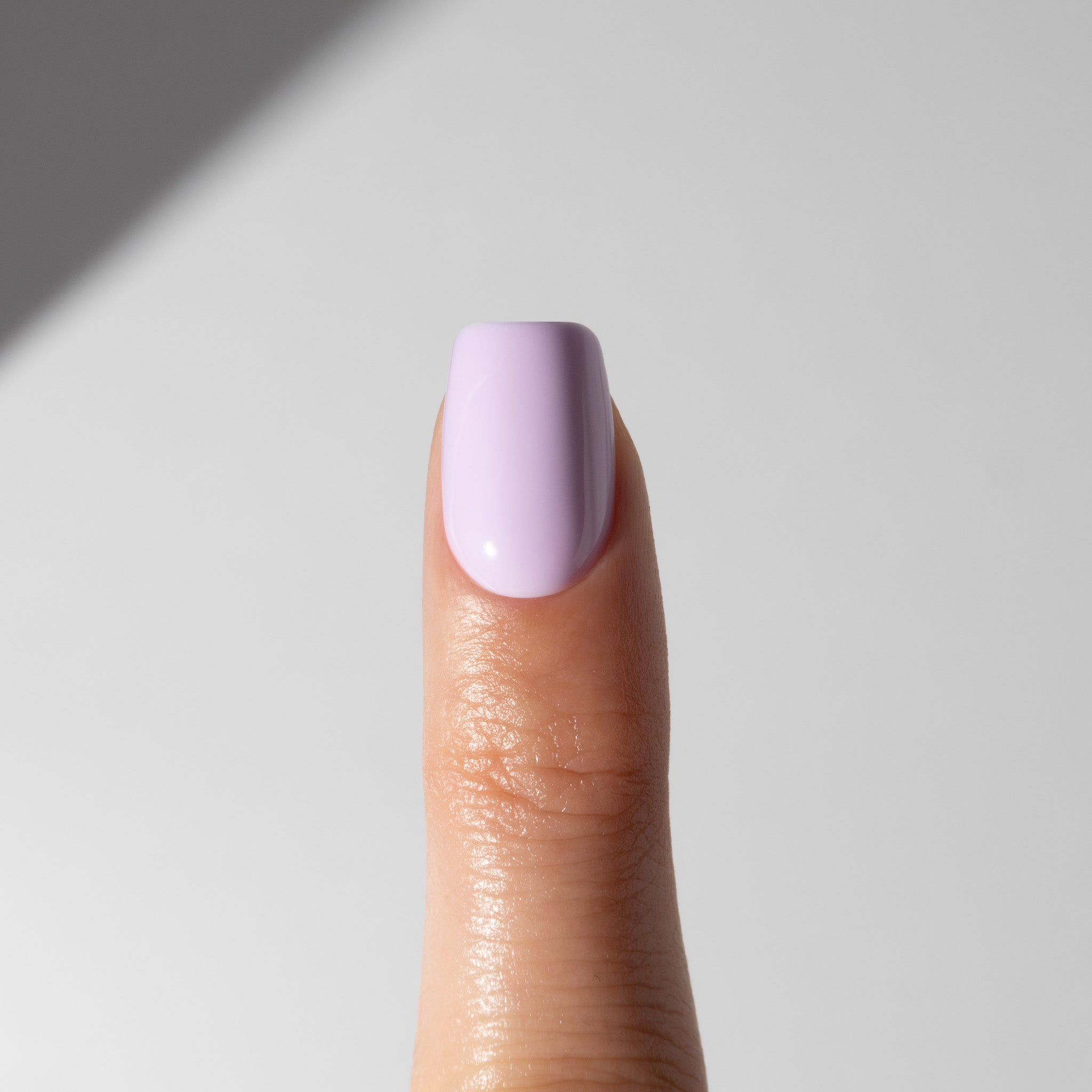 Daydream Lilac