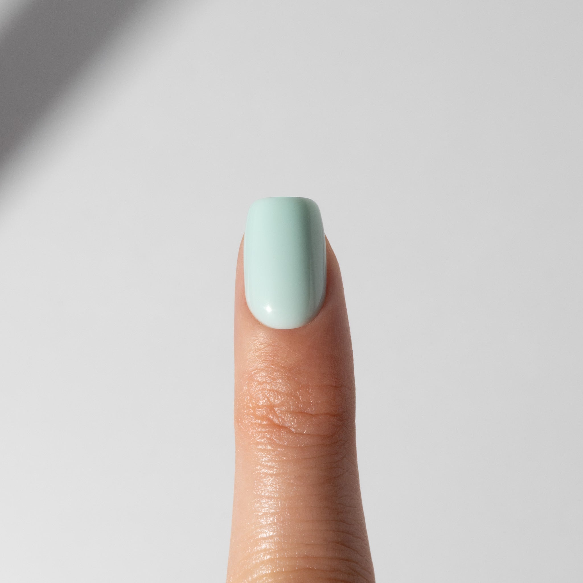 Minty Fresh