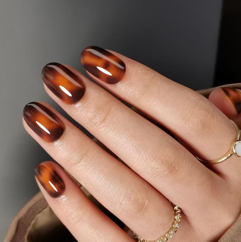 Tortoise Shell